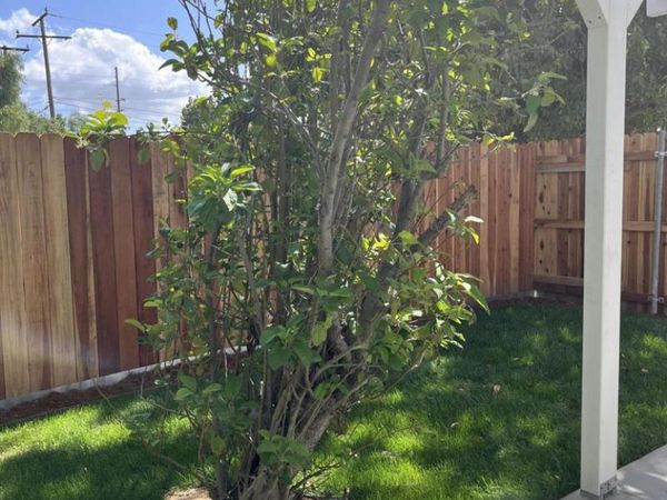 4484 Apricot Road, Simi Valley, CA 93063