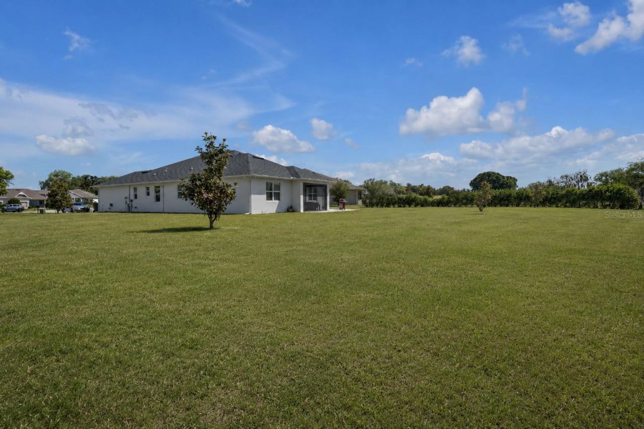 16288 Spring View Court, Clermont, FL 34711 Photo
