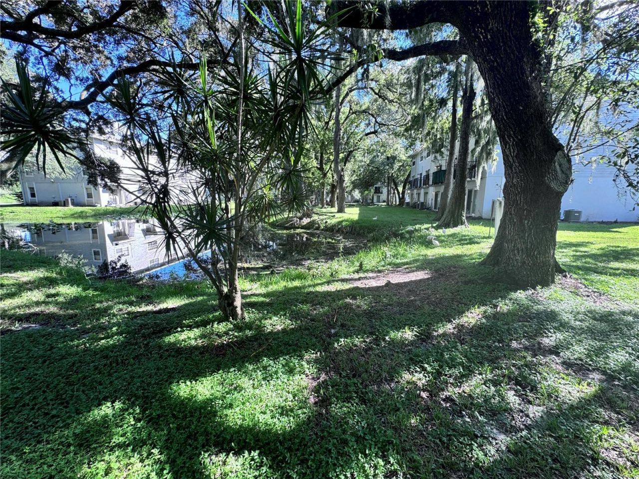 7177 E Bank Drive , Unit 102, Tampa, FL 33617 Photo