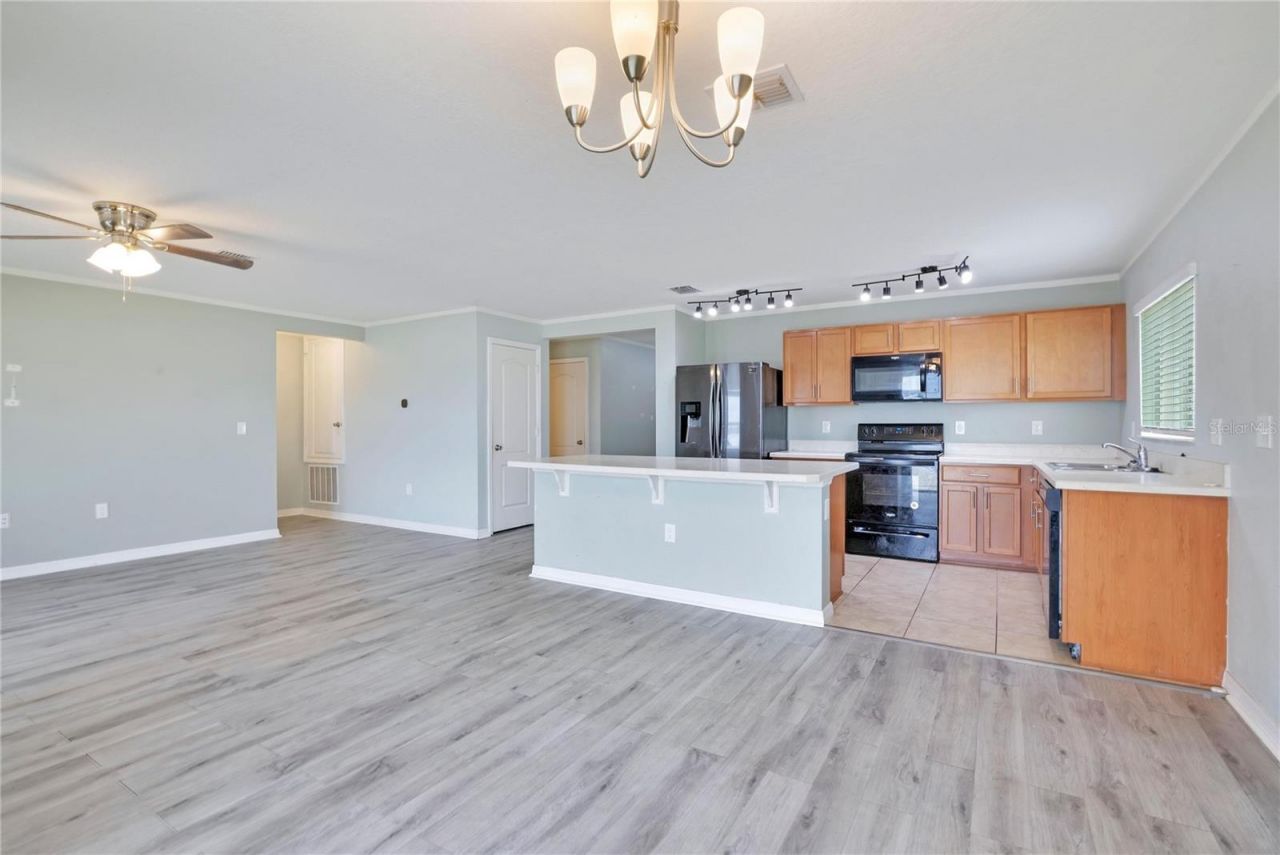 2465 Begonia Street, Mascotte, FL 34753 Photo