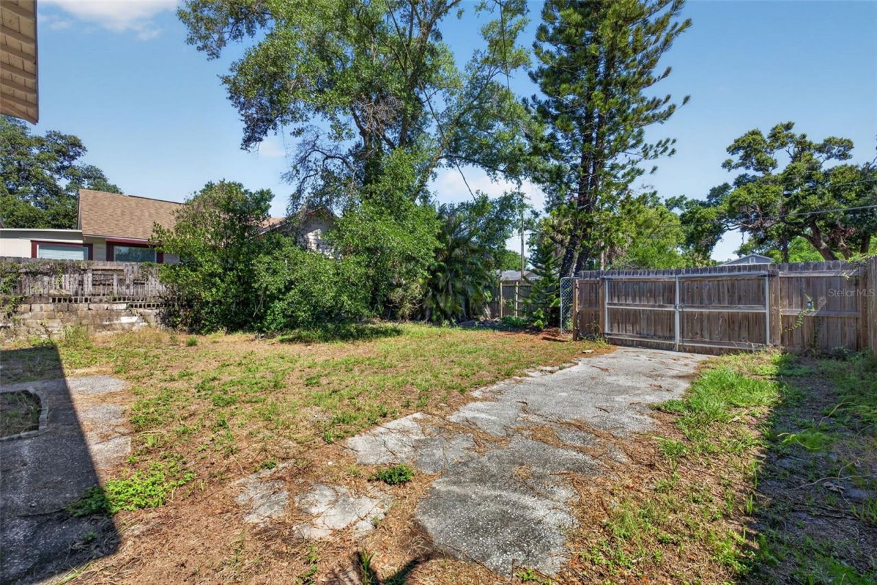 114 W Wilder Avenue, Tampa, FL 33603 Photo