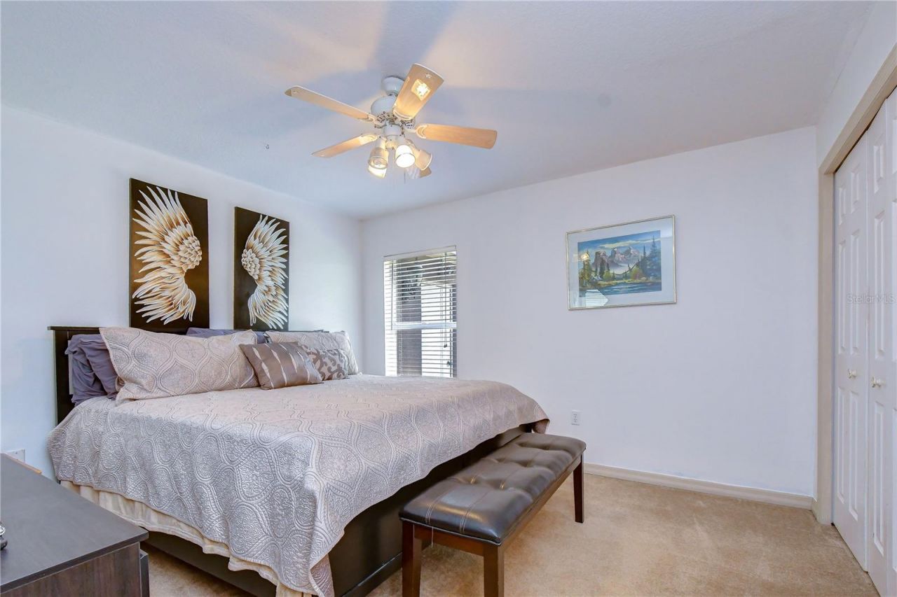 3810 Turkey Oak Drive , Valrico, FL 33596 Photo