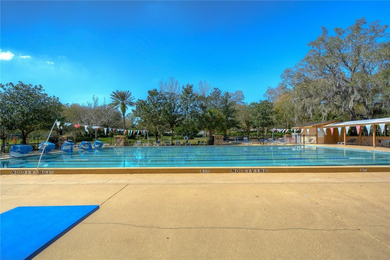3810 Turkey Oak Drive , Valrico, FL 33596 Photo