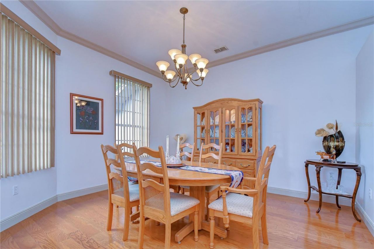 3810 Turkey Oak Drive , Valrico, FL 33596 Photo