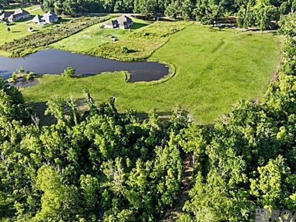 Lot 1-A-1 New River Rd, St Amant, LA 70774