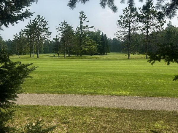 20935 E Riverside Drive, Hillman, MI 49746