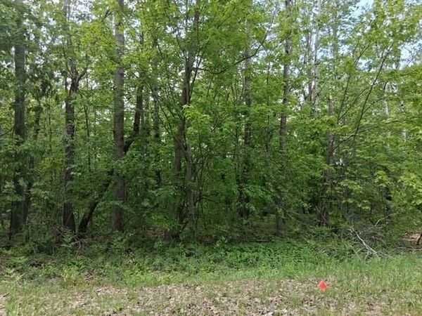 Lot 151 Snowcrest Trail, Elmira, MI 49730
