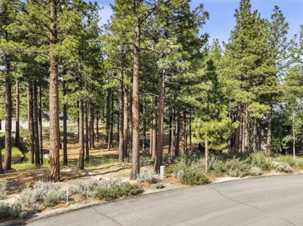40 Myrtlewood Circle, Reno, NV 89511 Photo
