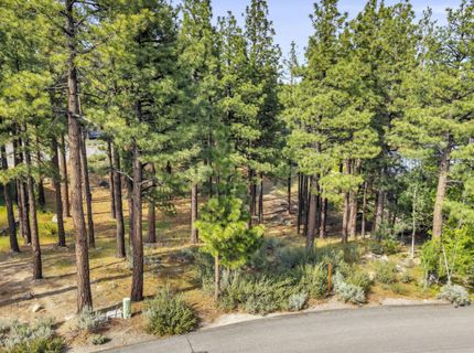 40 Myrtlewood Circle, Reno, NV 89511 Photo