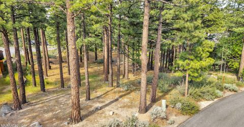 40 Myrtlewood Circle, Reno, NV 89511 Photo