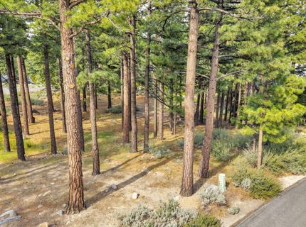 40 Myrtlewood Circle, Reno, NV 89511 Photo