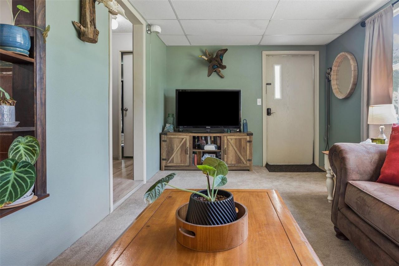 5603 Joyce Sheffield Lane, Plant City, FL 33565 Photo