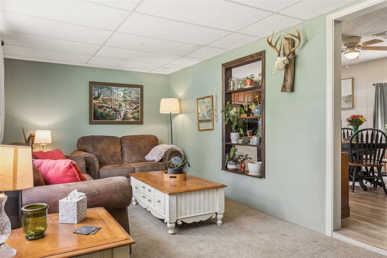 5603 Joyce Sheffield Lane, Plant City, FL 33565 Photo