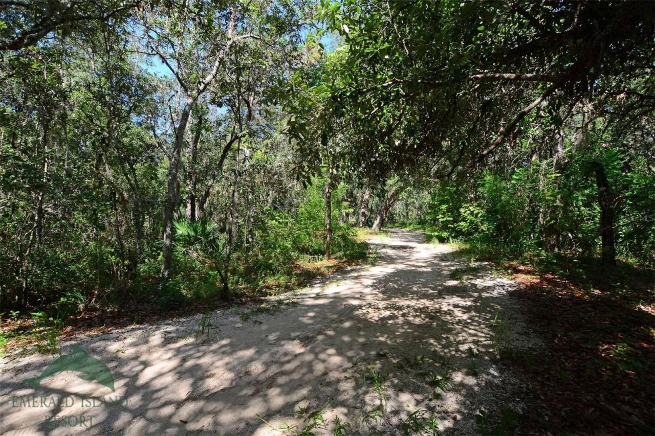 8610 Sunrise Key Drive , Kissimmee, FL 34747 Photo