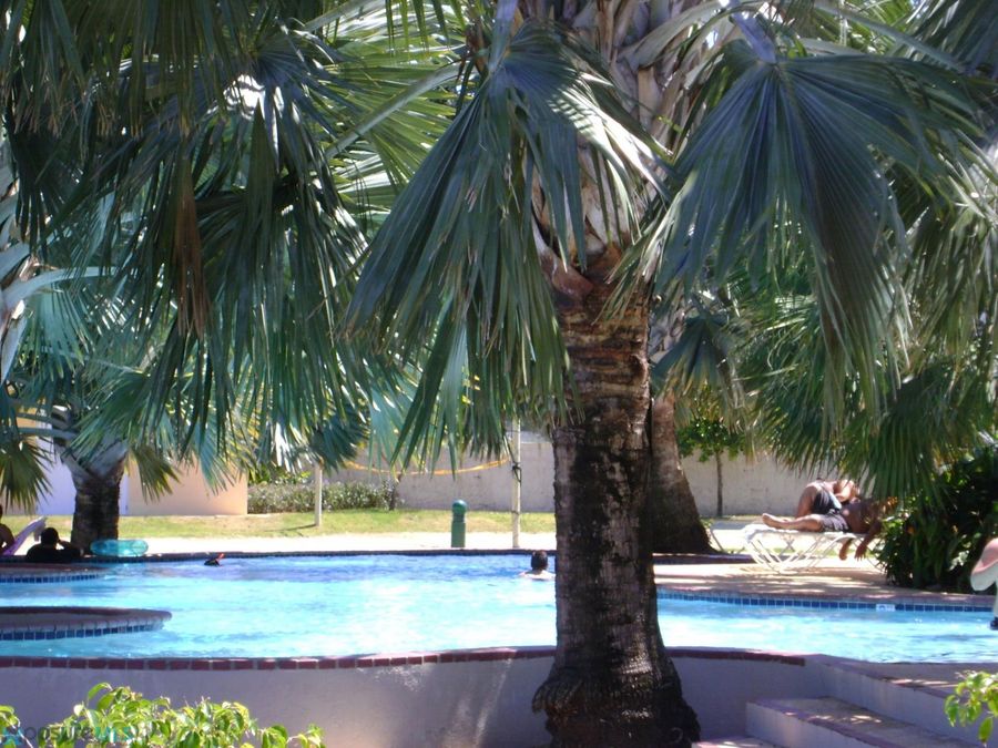 Property Image 31
