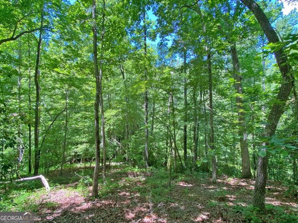 0 Hickory Nut Trail, Dahlonega, GA 30533