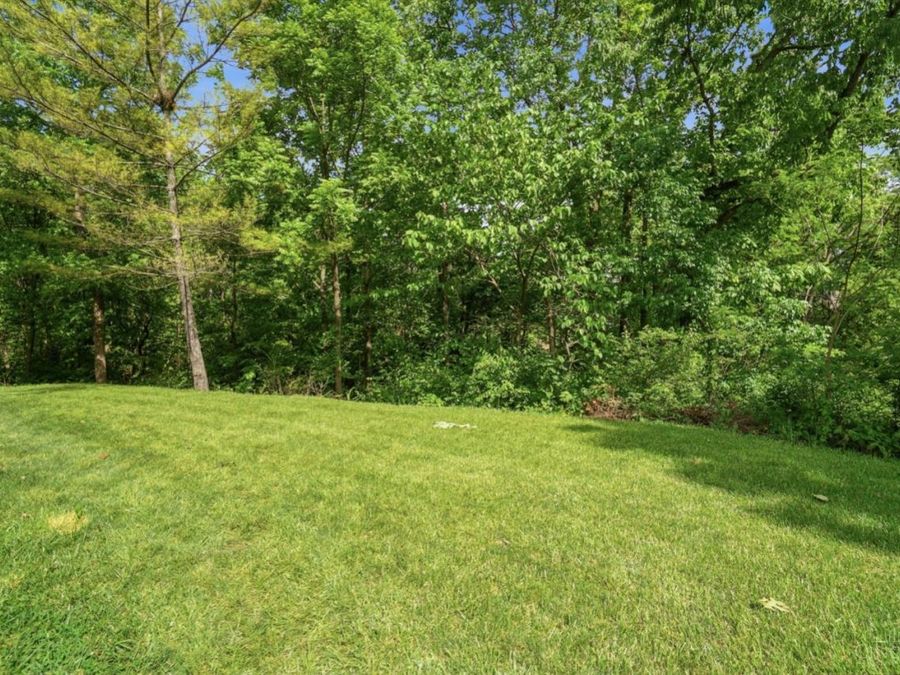 Property Image 77
