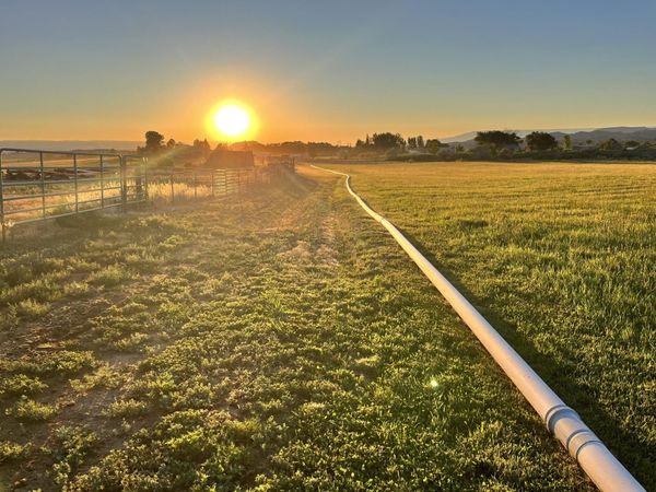 69557 Highway 50 , Montrose, CO 81401