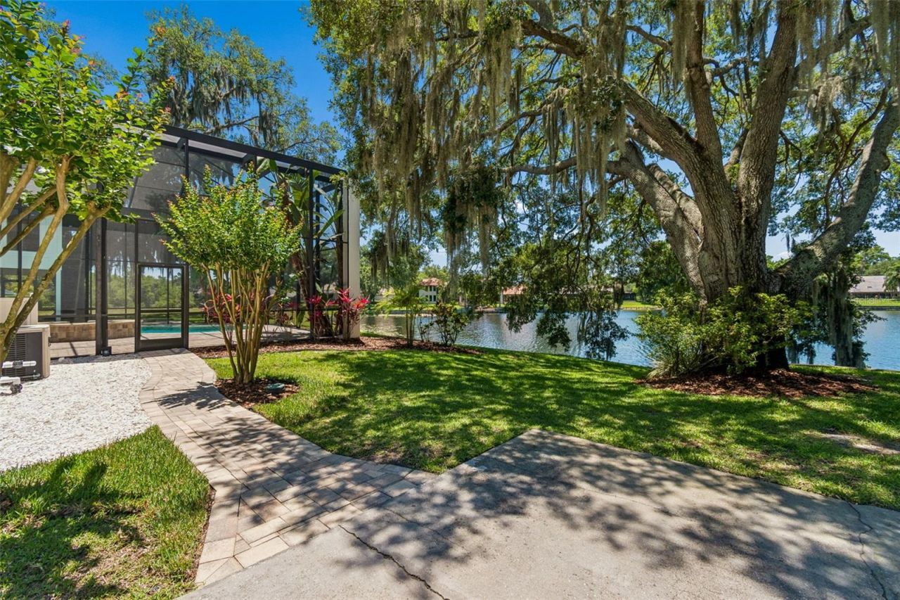 816 Taray De Avila, Tampa, FL 33613 Photo