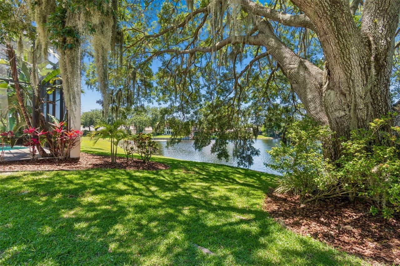 816 Taray De Avila, Tampa, FL 33613 Photo