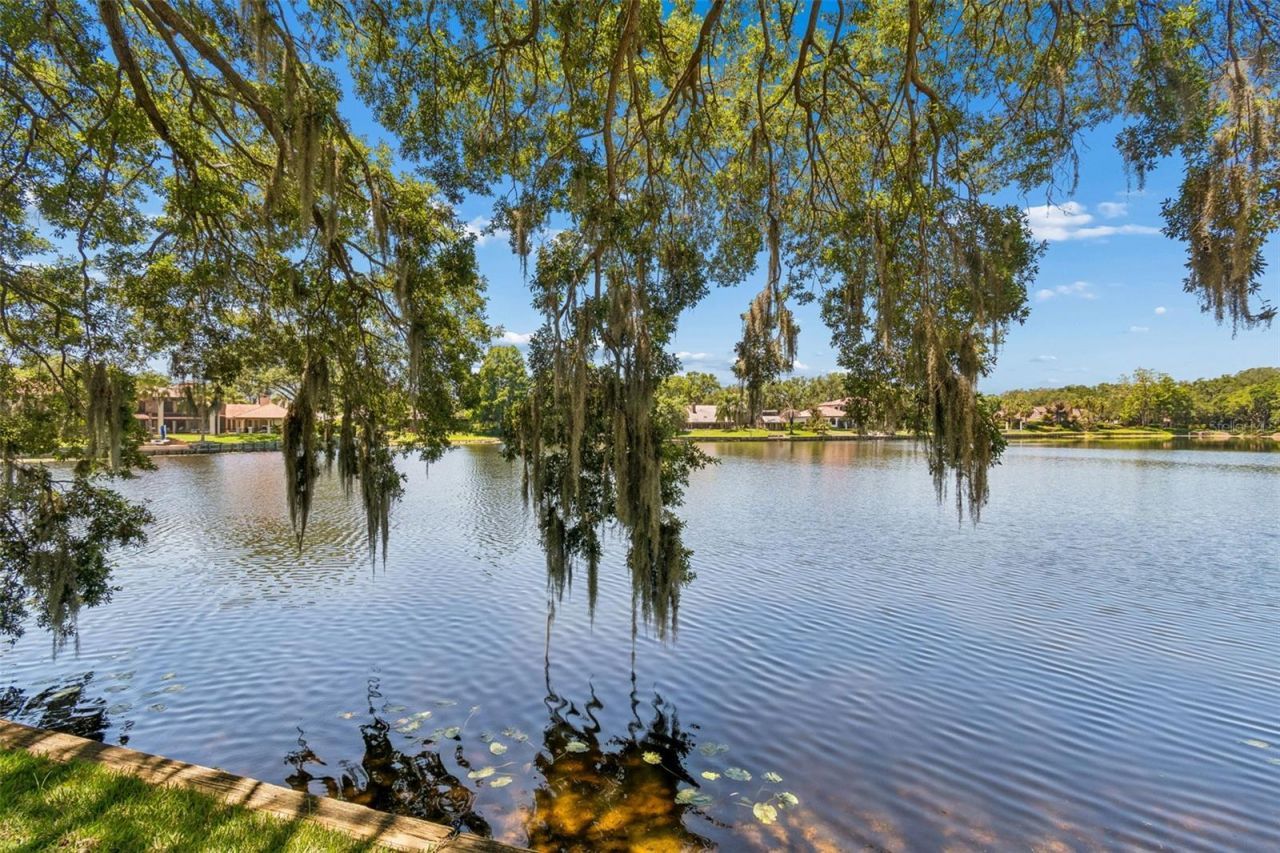 816 Taray De Avila, Tampa, FL 33613 Photo