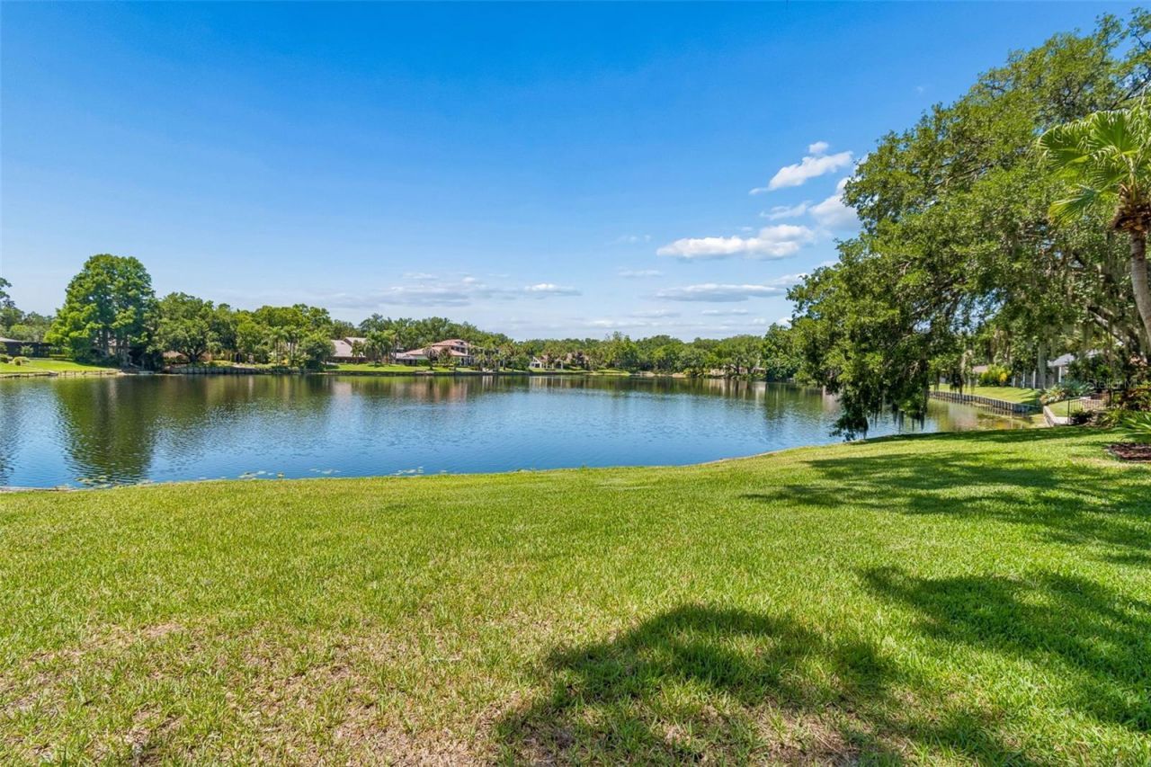 816 Taray De Avila, Tampa, FL 33613 Photo