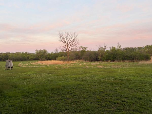 58255 Mn-7 , Cosmos, MN 56228