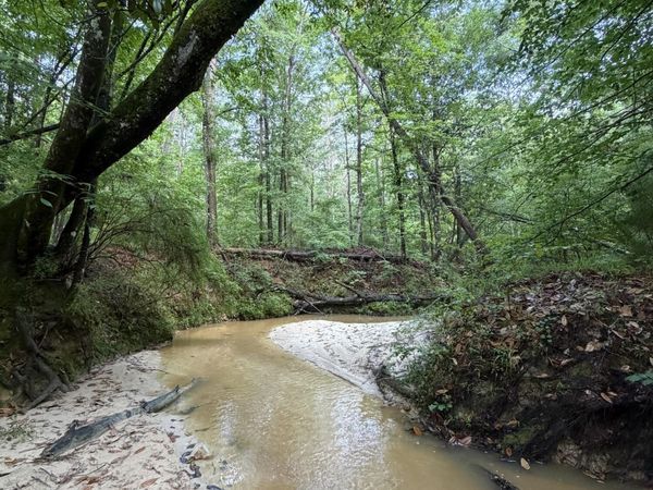 E Poor House Road, Woodville, MS 39669