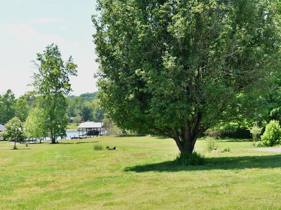 Property Image 50