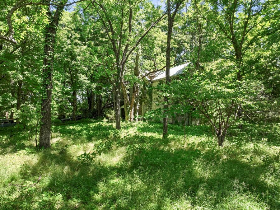 Property Image 36