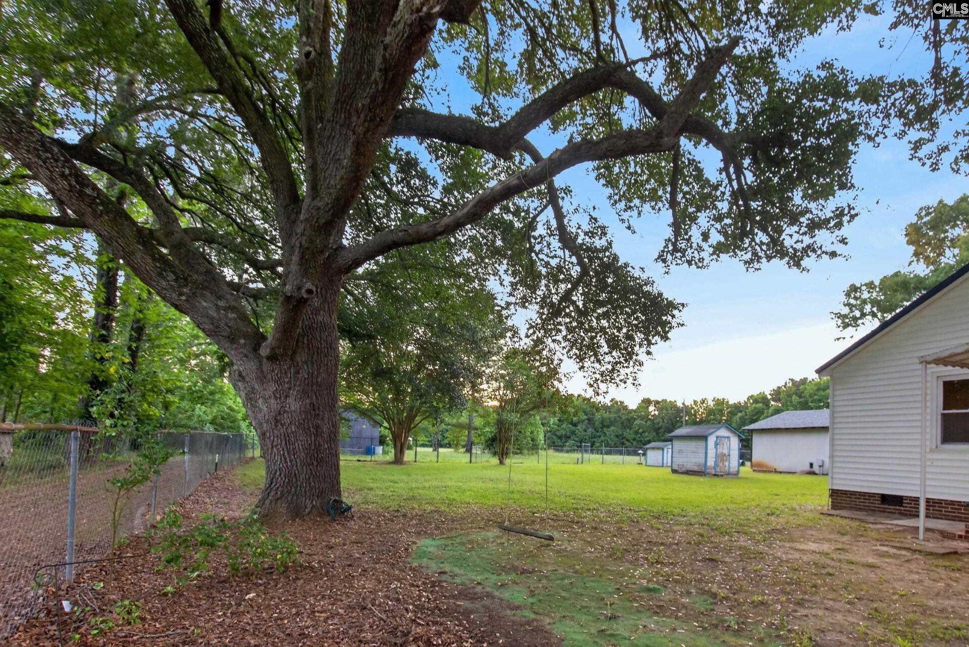 3100 N Kings Highway Photo 30