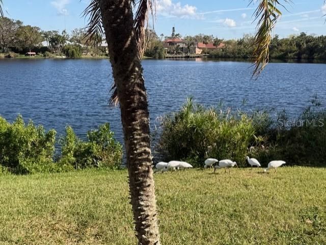 220 Lakewood Drive , Bradenton, FL 34210 Photo