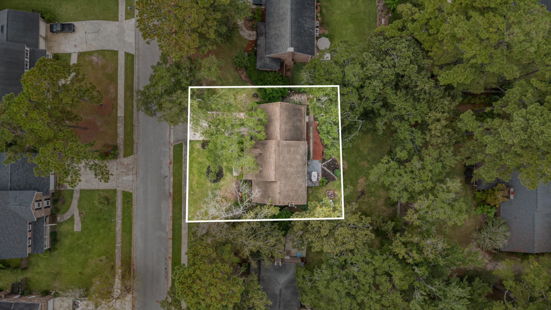 107 Thrush Lane Photo 43