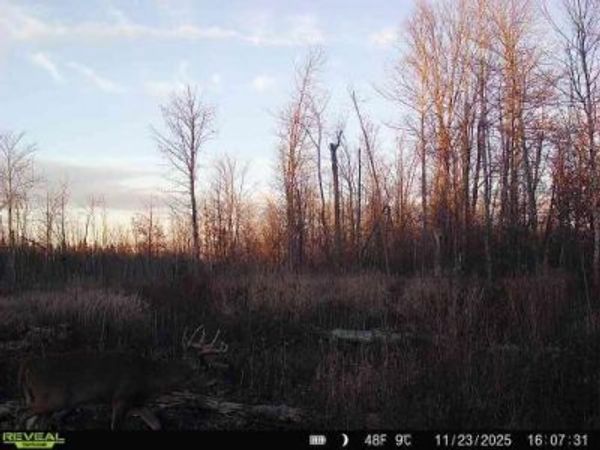 xxx Fleming Logging Road , Hinckley, MN 55037