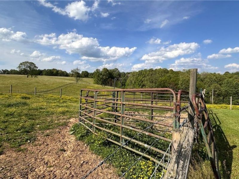 74663 Broadhead Road, Kimbolton, OH 43749 Photo 42