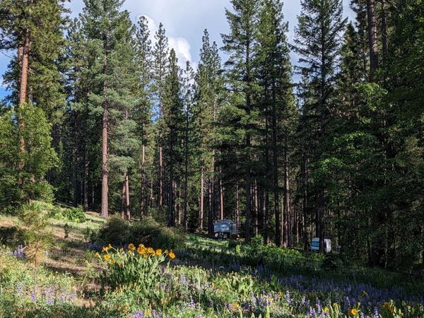 5738 Chandler Road, Quincy, CA 95971