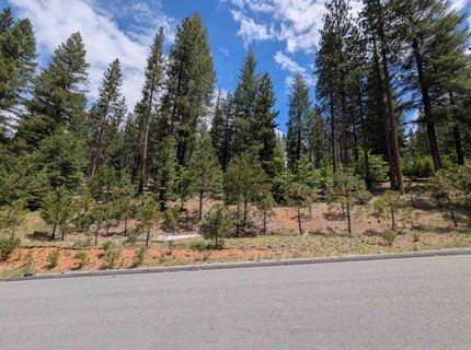 5738 Chandler Road, Quincy, CA 95971 Photo