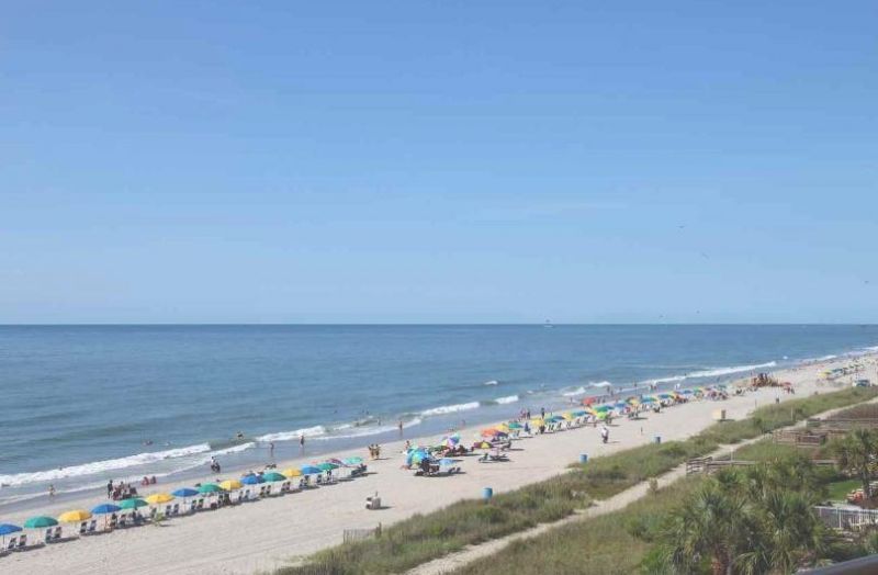 1063 Cherrystone Loop  Photo 40
