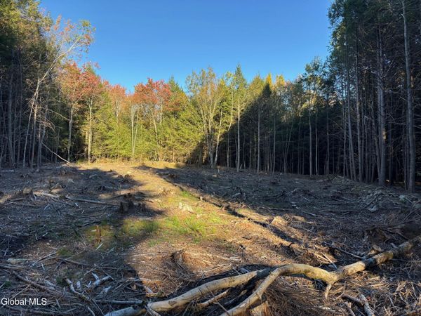 L1.112 Kipple Road, Sand Lake, NY 12153