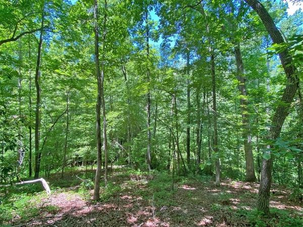 0 Hickory Nut Trail , Dahlonega, GA 30533