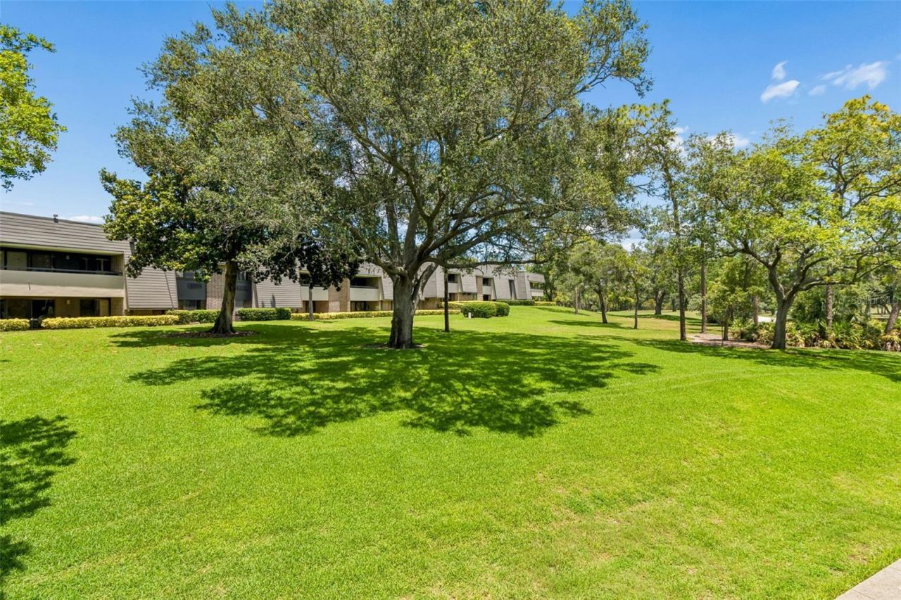 36750 Us Highway 19 , Unit 21202, Palm Harbor, FL 34684 Photo