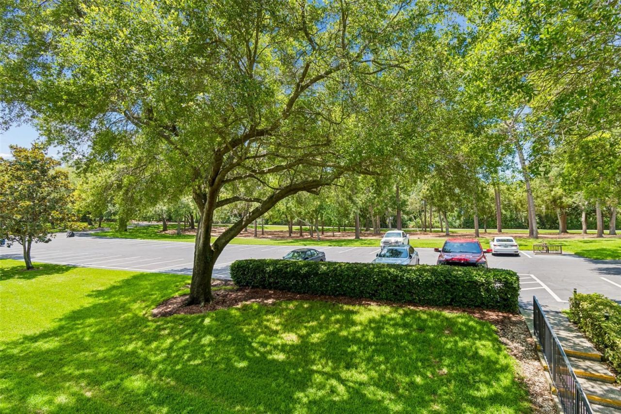 36750 Us Highway 19 , Unit 21202, Palm Harbor, FL 34684 Photo