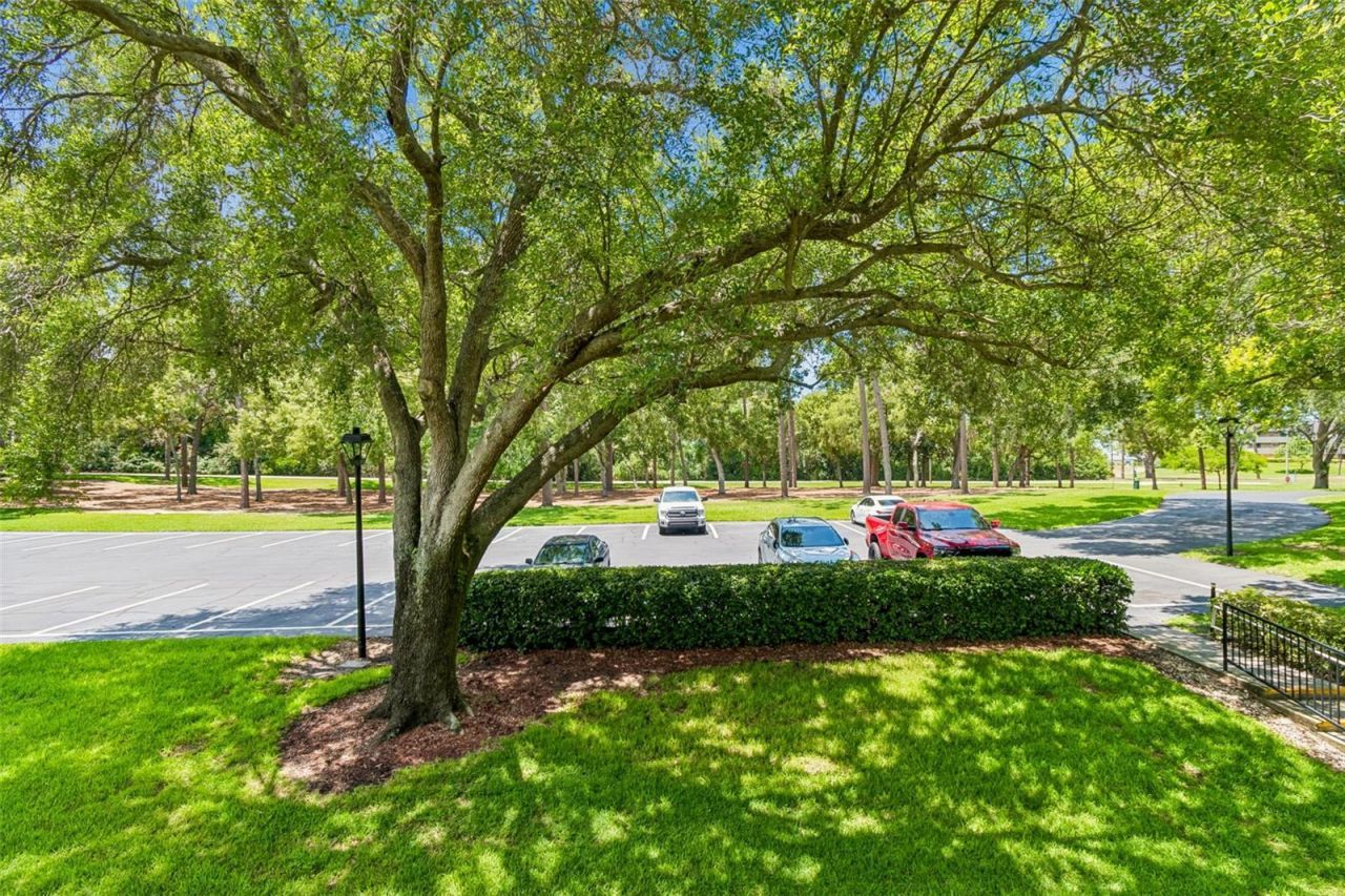 36750 Us Highway 19 , Unit 21202, Palm Harbor, FL 34684 Photo