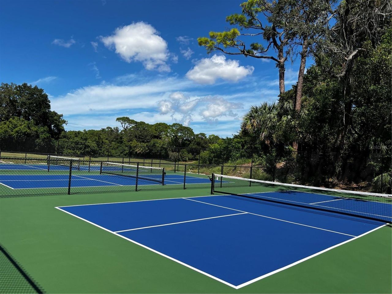 36750 Us Highway 19 , Unit 21202, Palm Harbor, FL 34684 Photo