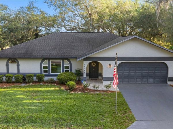 16789 SE 69TH LANE, OCKLAWAHA, FL 32179