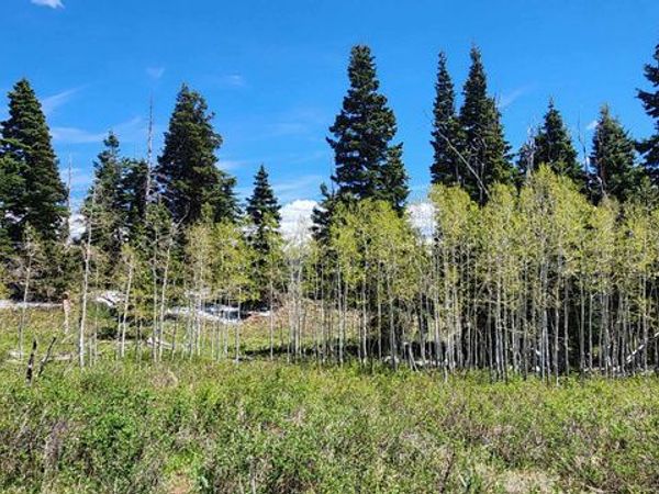 79 E THADS PEAK DR S, Unit J50, Fairview, UT 84629