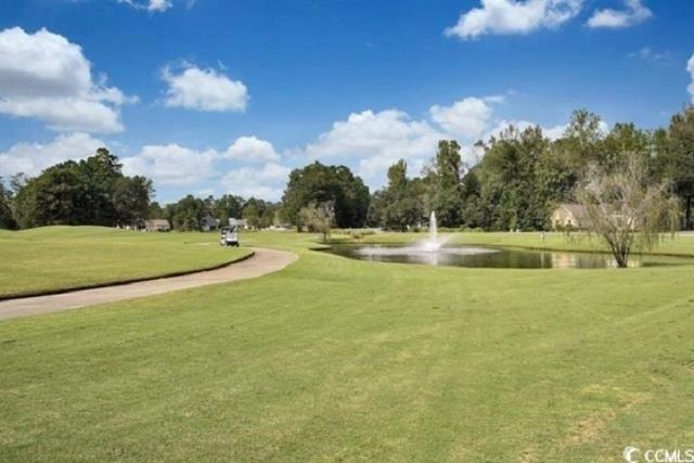 1069 Cherrystone Loop Photo 12