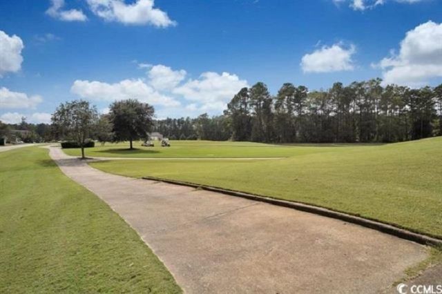1069 Cherrystone Loop Photo 22