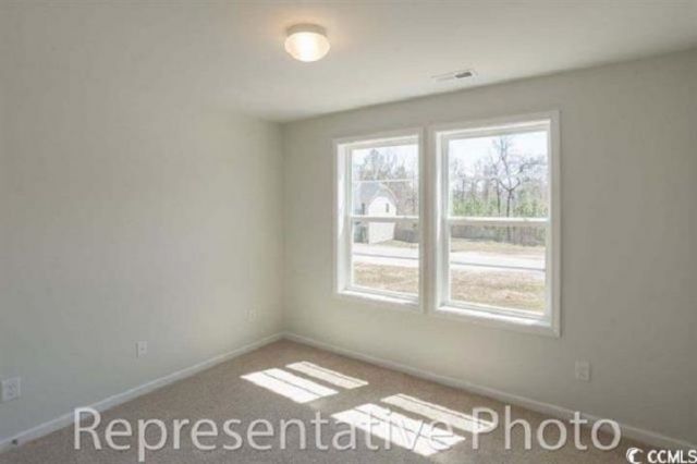 1069 Cherrystone Loop Photo 28