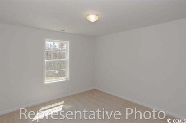 1069 Cherrystone Loop Photo 29